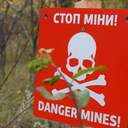 На Миколаївщині за тиждень знешкодили 630 вибухонебезпечних предметів