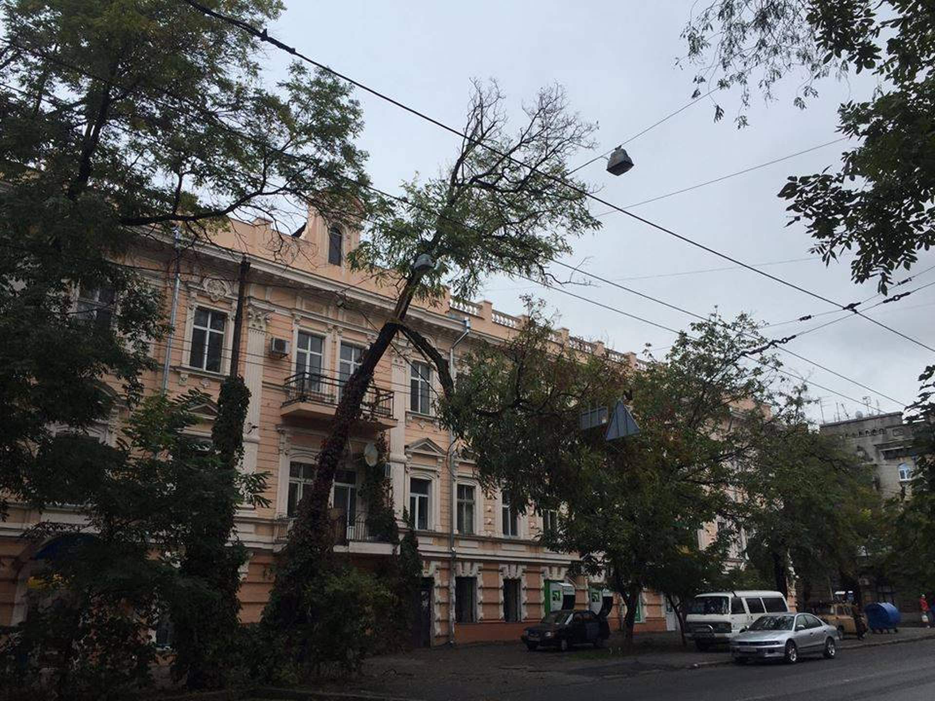 Одесский ураган: поломанные деревья и упавший кран  