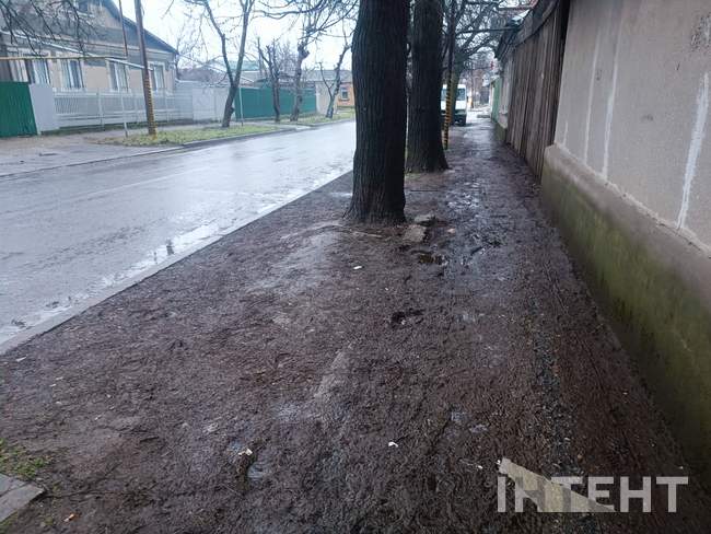 ФОТО: Интент