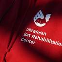 В одеському парку вперше випустили реабілітованих кажанів