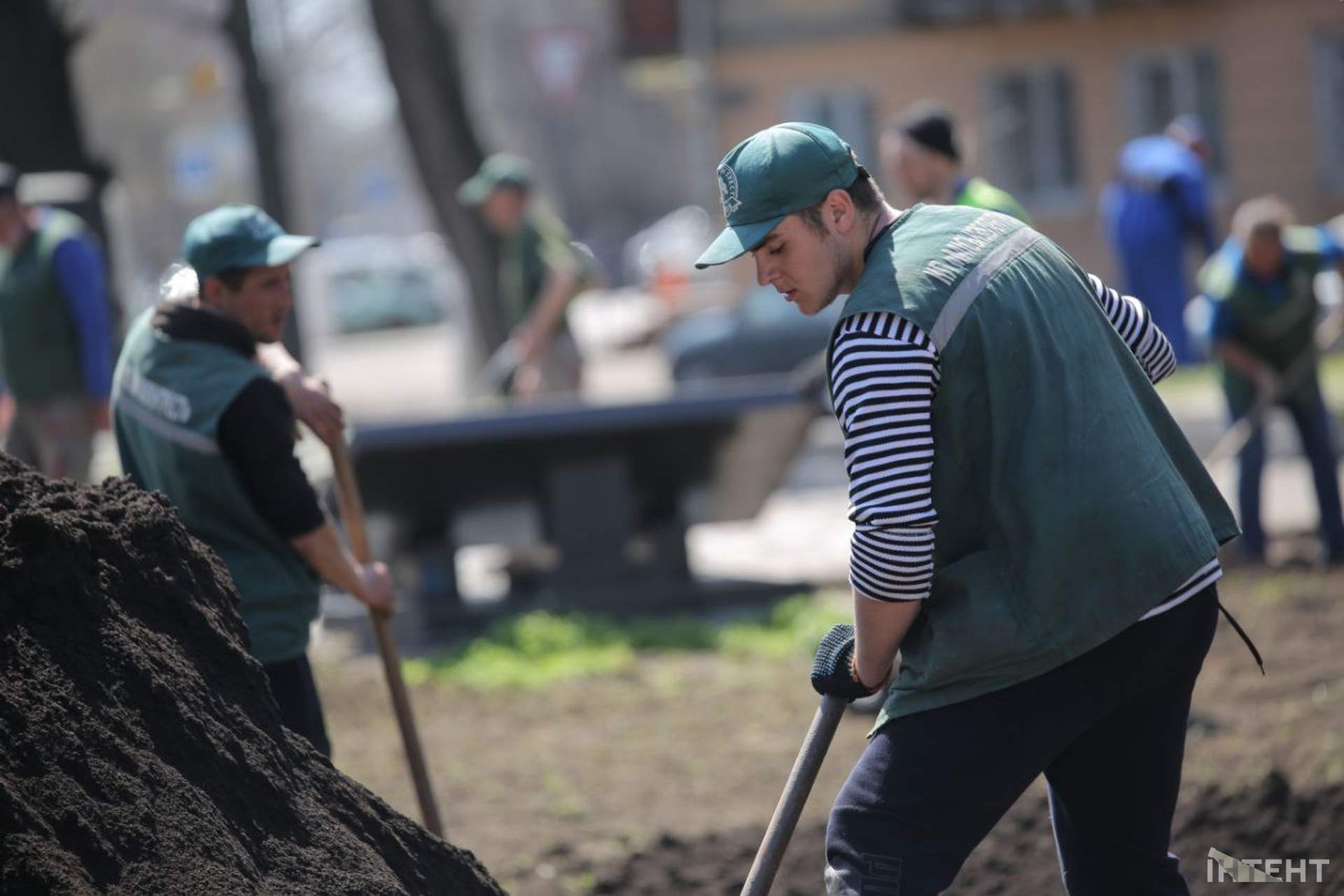 В Одесі висадили алею кленів в пам'ять Праведників світу