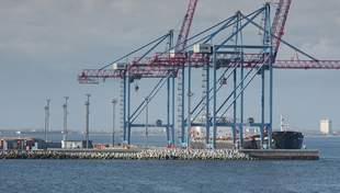 Підприємці подали на оформлення митниці документи лише на кожний сьомий контейнер у портах