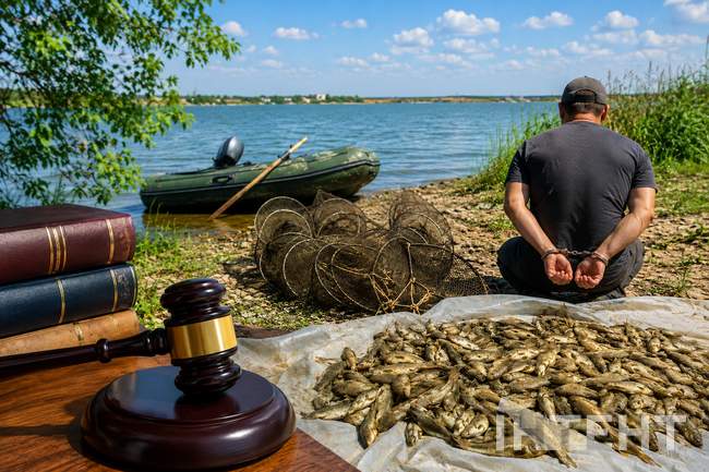 Фото: згенероване ШІ