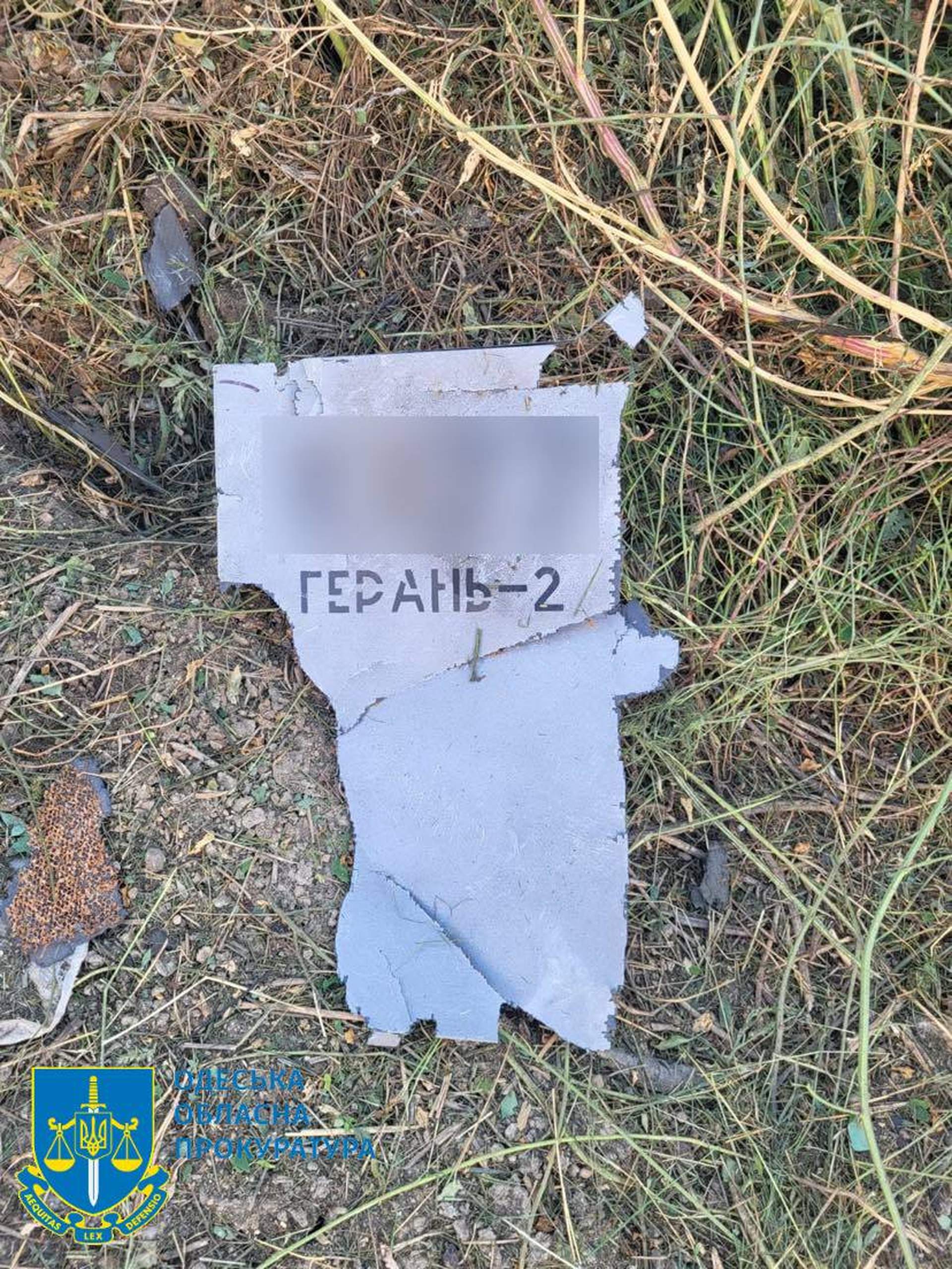Ізмаїльський район Одещини три години атакували російські дрони: є загиблий