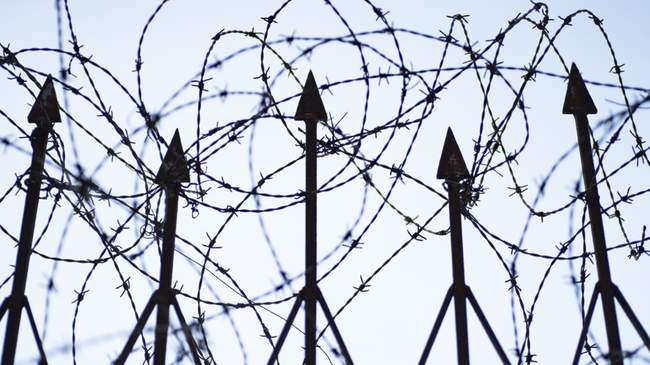 ФОТО: suspilne.media