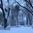 Одесу завалює снігом