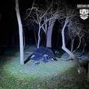 Внаслідок двох хвиль нічних атак в Одесі постраждали шість жителів