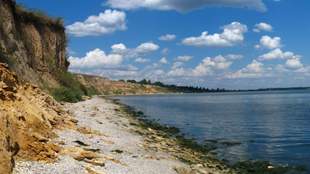 Village council in Mykolaiv region appropriated land plots by the sea for 8 million