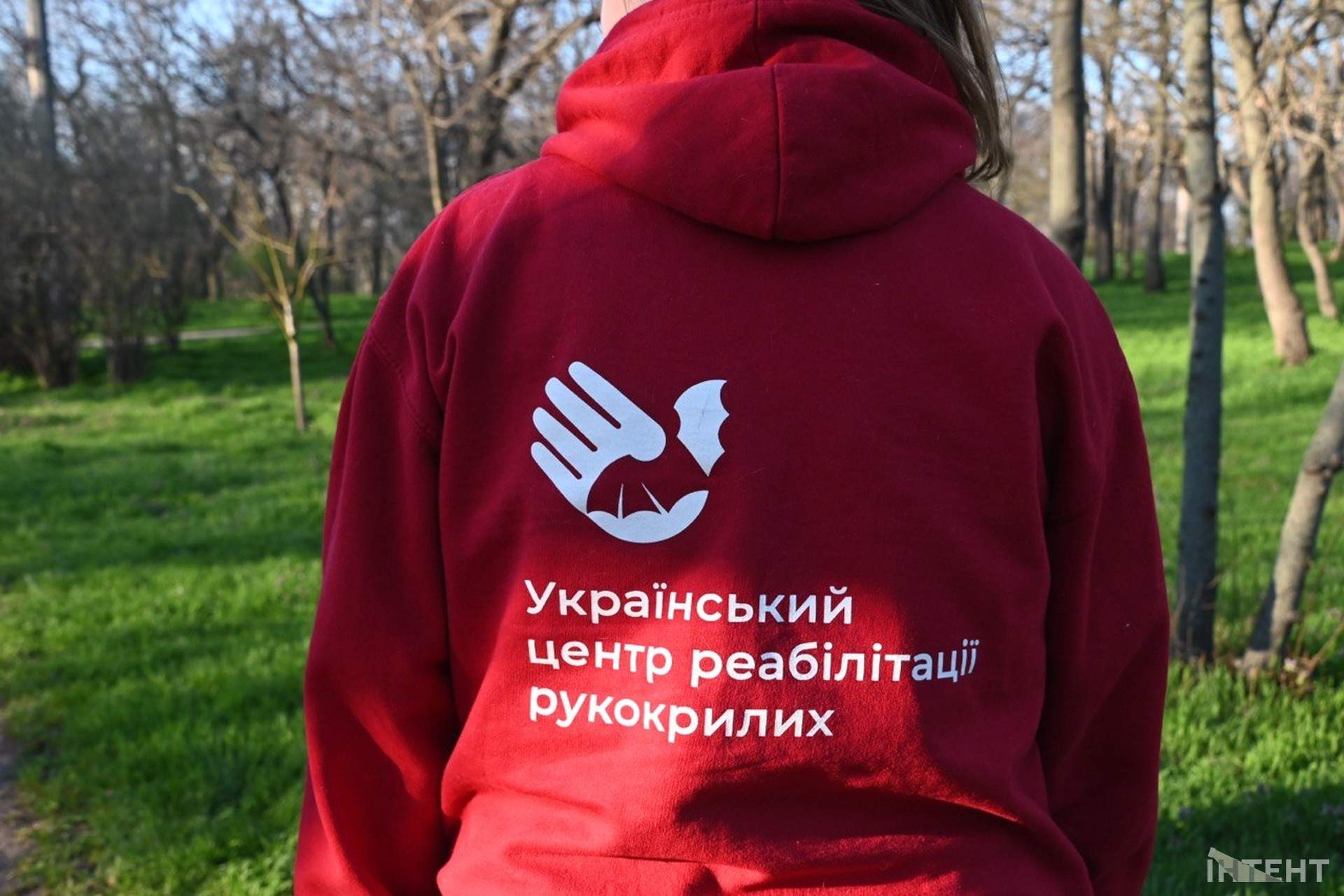 В одеському парку вперше випустили реабілітованих кажанів