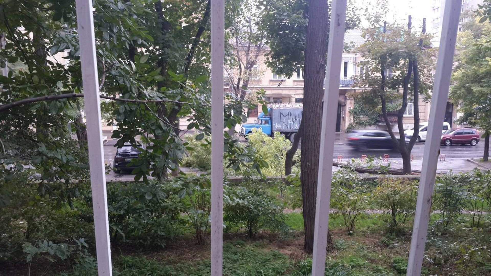 Одесский ураган: поломанные деревья и упавший кран  