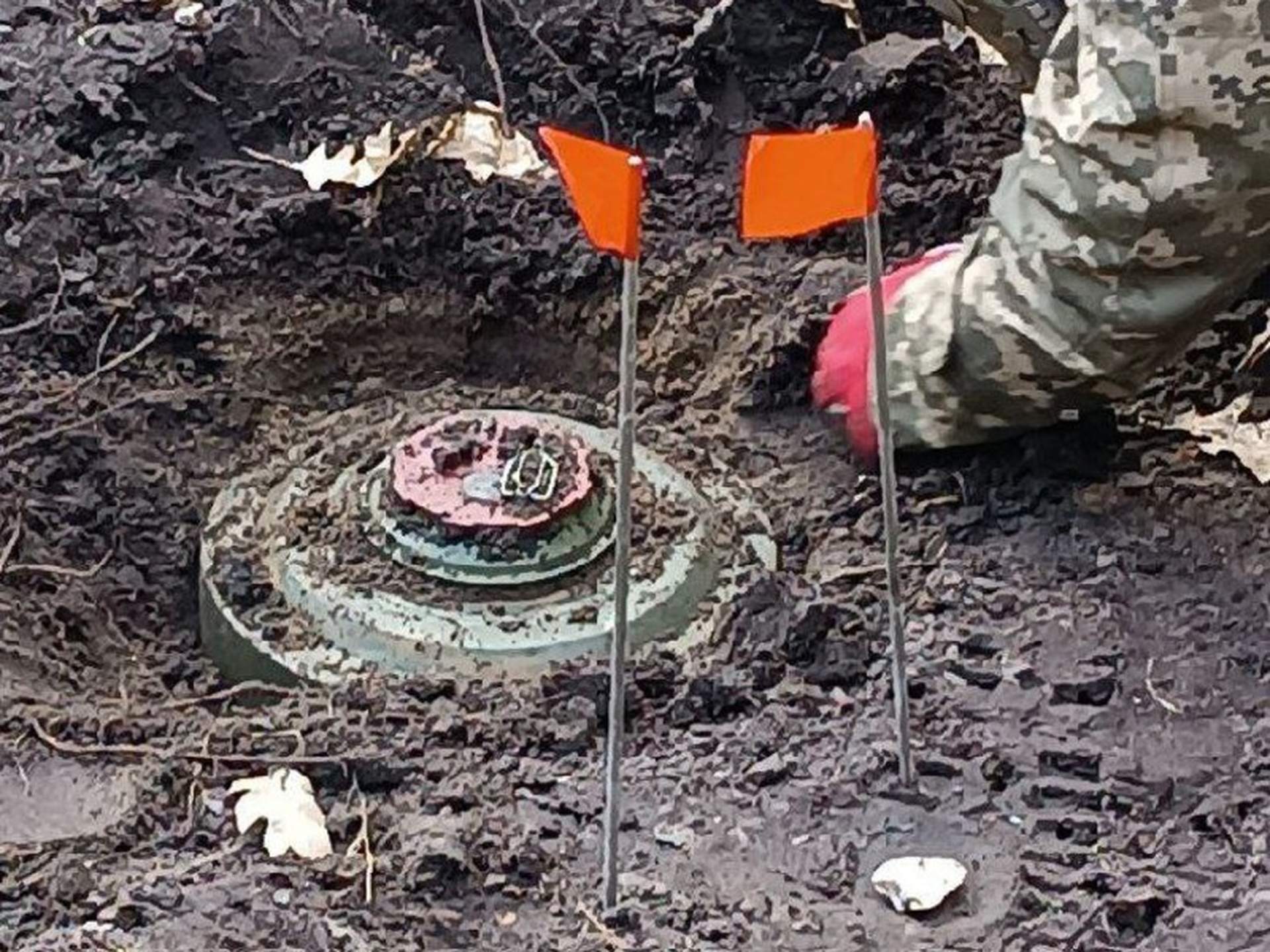 На Миколаївщині за тиждень знешкодили 630 вибухонебезпечних предметів