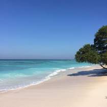 Sandy Spit