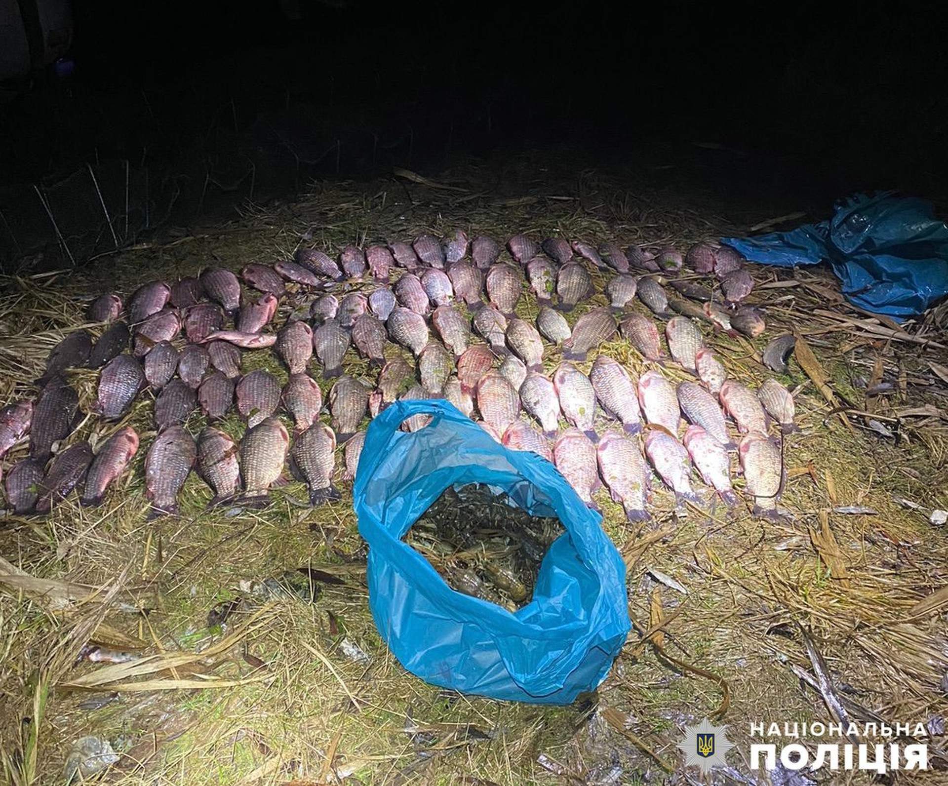 Рейд на Миколаївщині: браконьєри з нелегальним уловом на понад 600 тисяч потрапили під приціл поліції