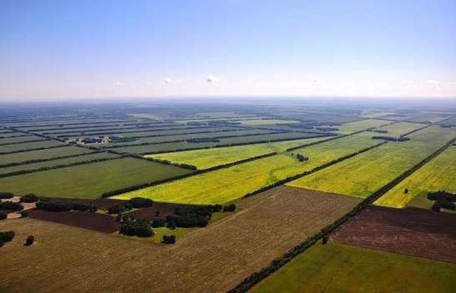 Одещина знов очолила ТОП-3 регіонів за площею орендованої землі через аукціон