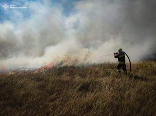 На Миколаївщині повідомили, скільки збили ударних дронів під час атаки