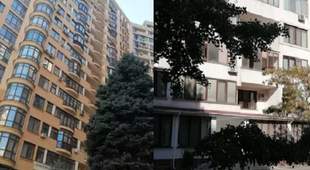 Квартири колаборанта Сальдо та російського олігарха в Одесі продали за 7 мільйонів
