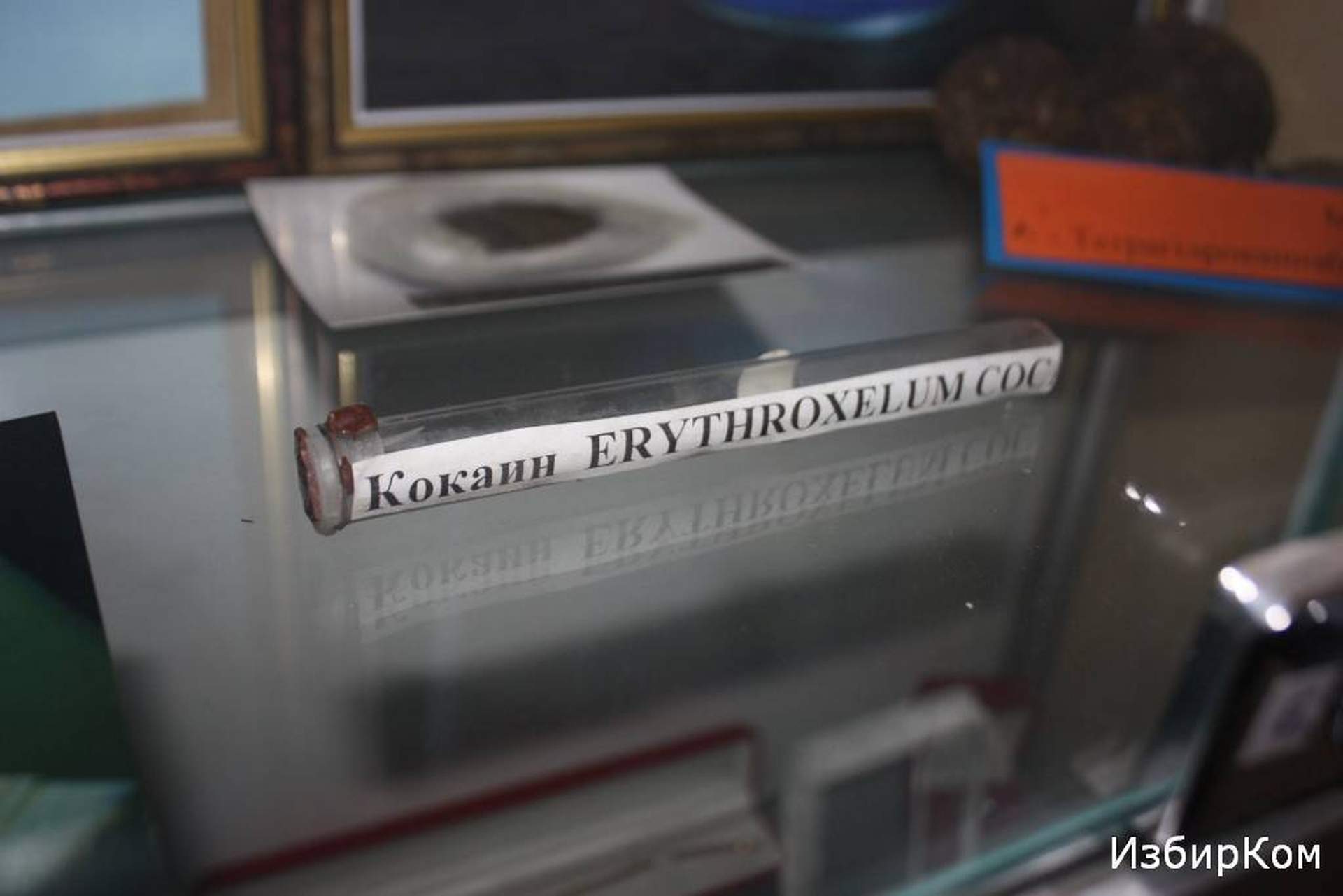 Кабинет начальника Одесской таможни Юлии Марушевской