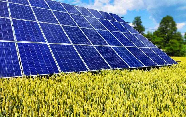 Мрія на Півдні: перевіряємо "зелені" енергетичні проєкти південних регіонів