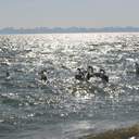 Первые выходные весны одесситы проводят у моря