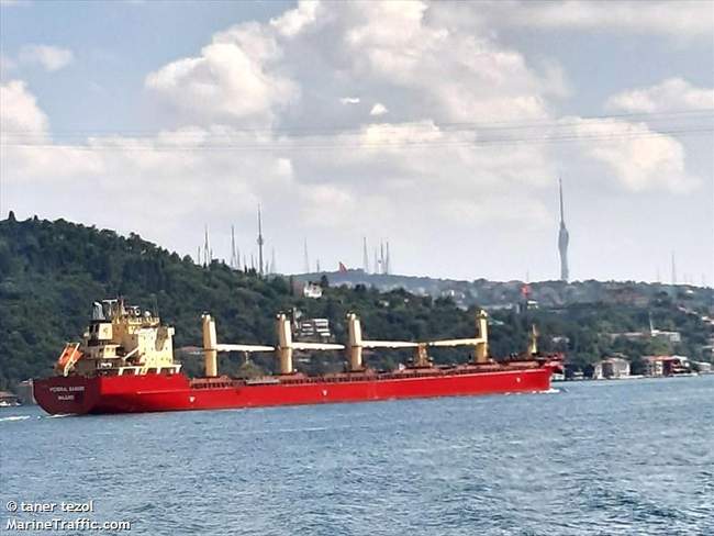 Судно DSM Capell, яке залишило Чорноморськ. Фото: marinetraffic