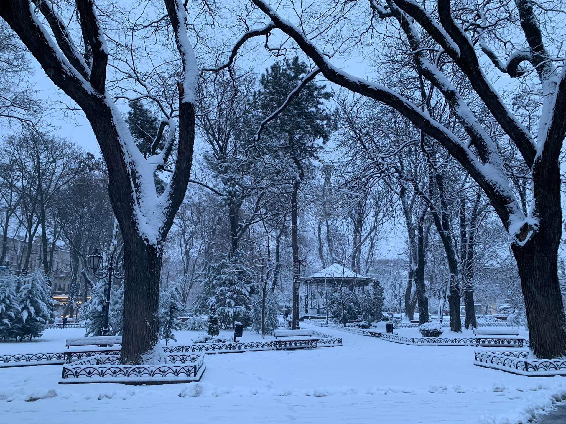 Одесу завалює снігом