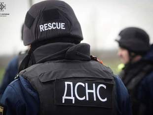 Піротехніки з Миколаєва врятували сову