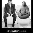 Самые популярные "ждуны" в политике: фотоподборка