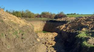 В Одеській області судитимуть 20-річного фермера за полив