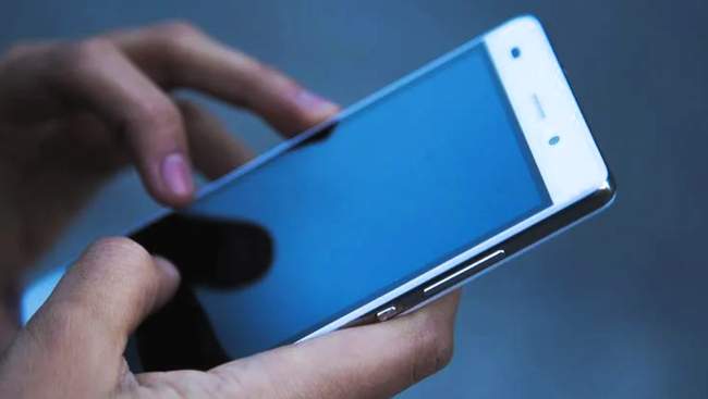 ФОТО: pixabay.com