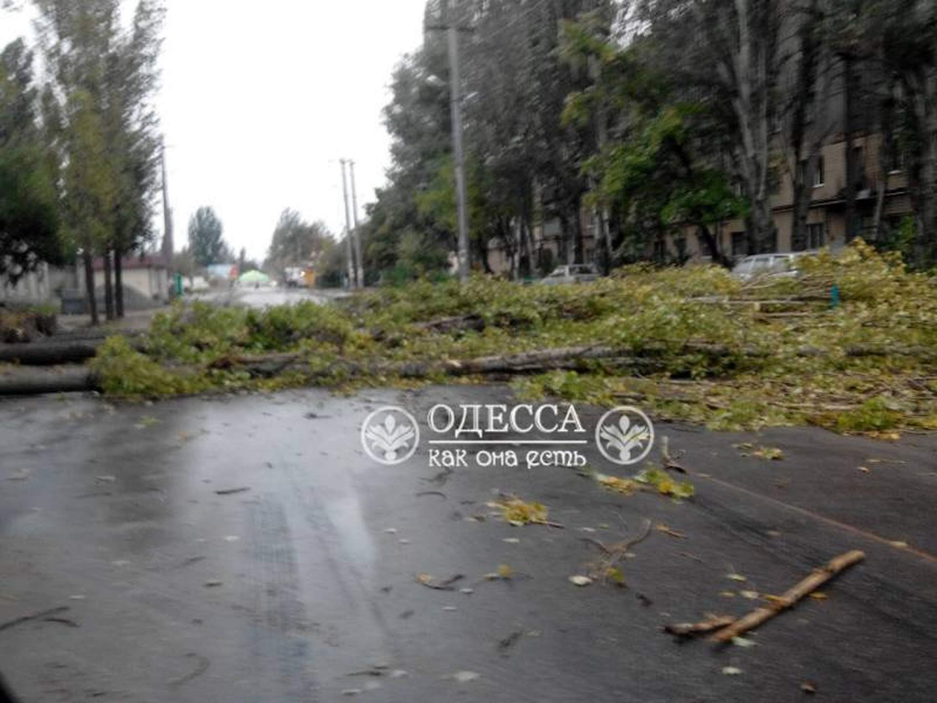 Одесский ураган: поломанные деревья и упавший кран  