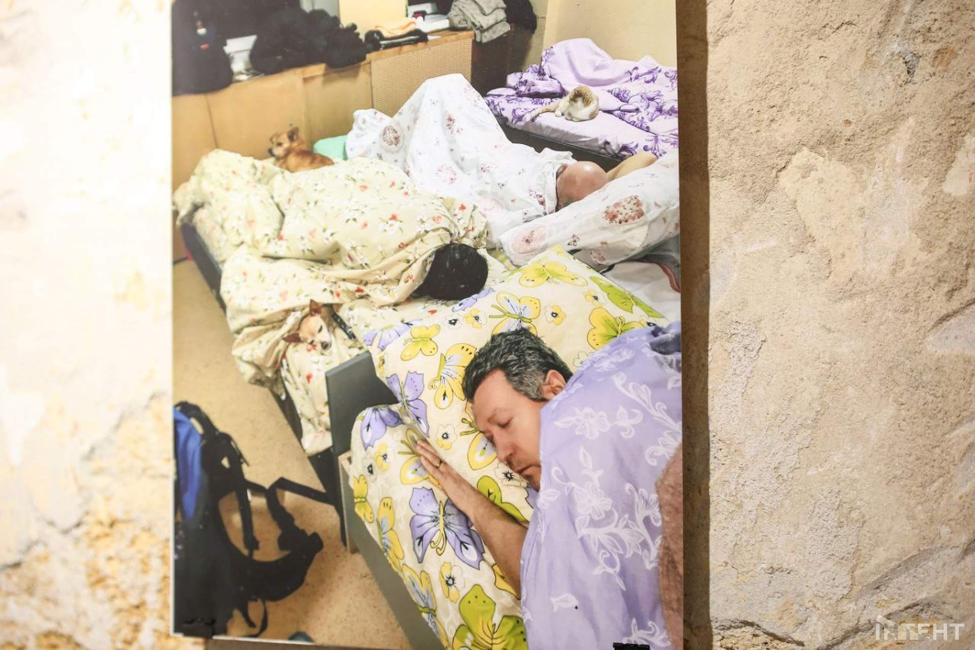 "Український фотощоденник": як війна змінила життя українців