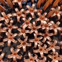 Перед будівлею Одеської мерії тимчасово встановили велетенські окуляри