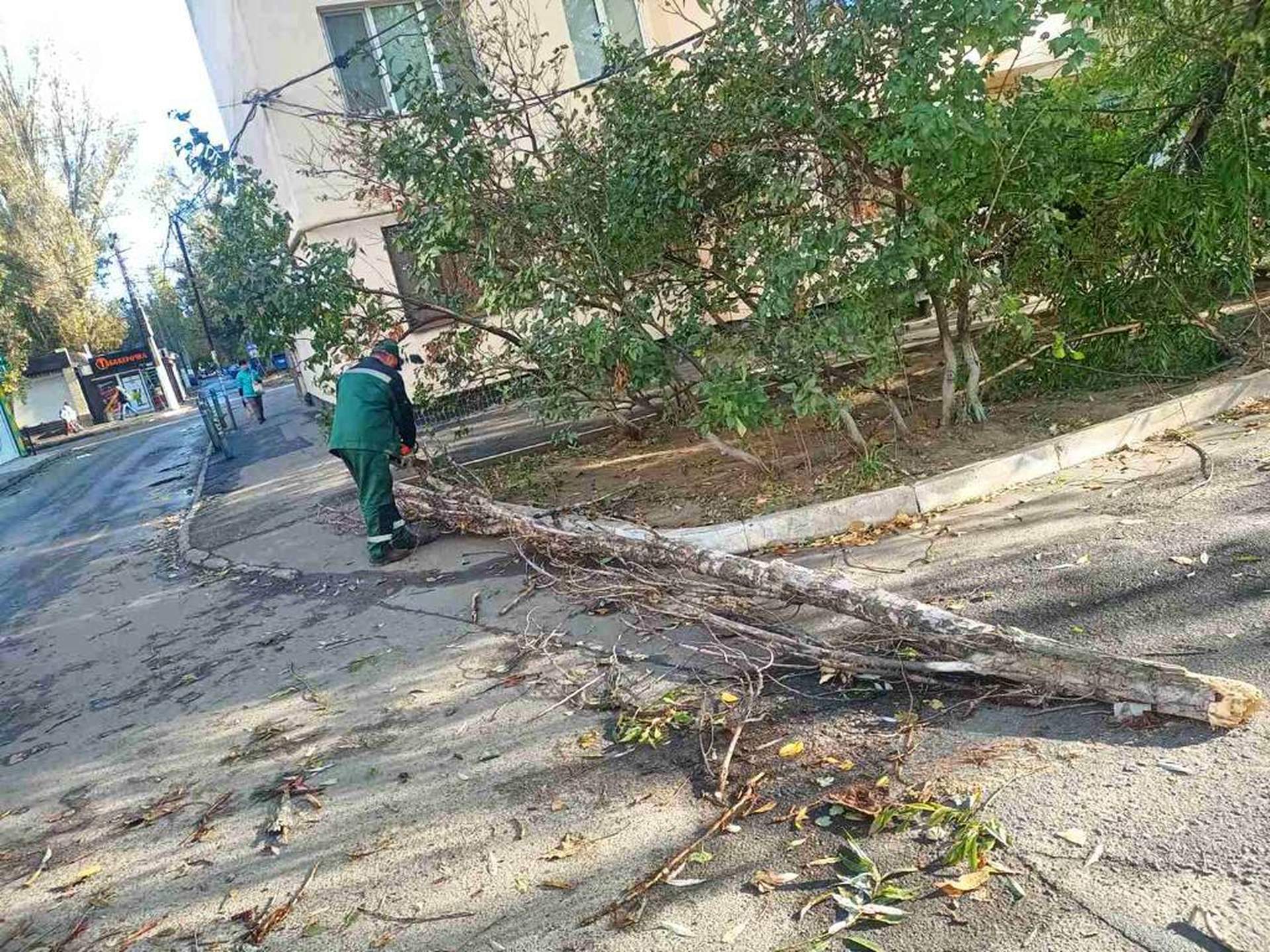 Пів сотні населених пунктів Одещини зранку залишалися знеструмлені через нічну негоду