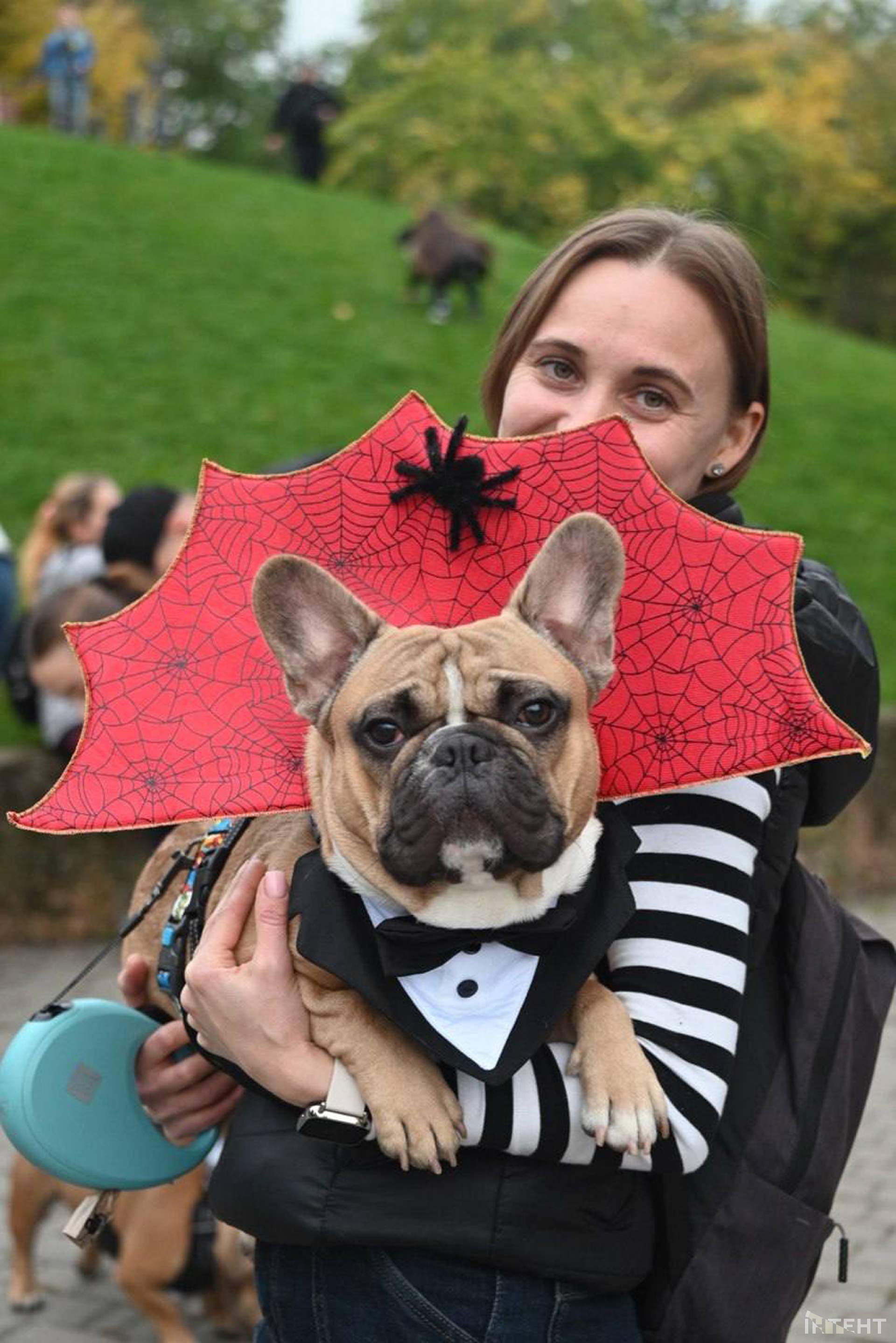 В Одесі відбулася Halloween-вечірка собак
