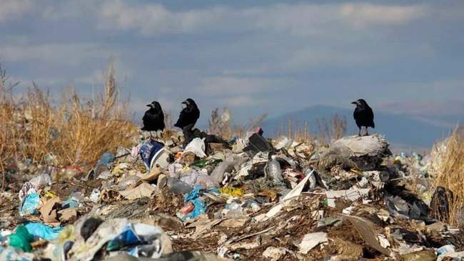 Стихійне сміттєзвалище. ФОТО: politeka.net