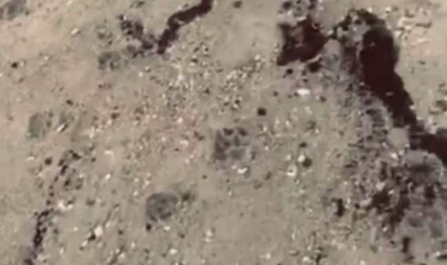 PHOTO: State Environmental Inspectorate of the Southwest District