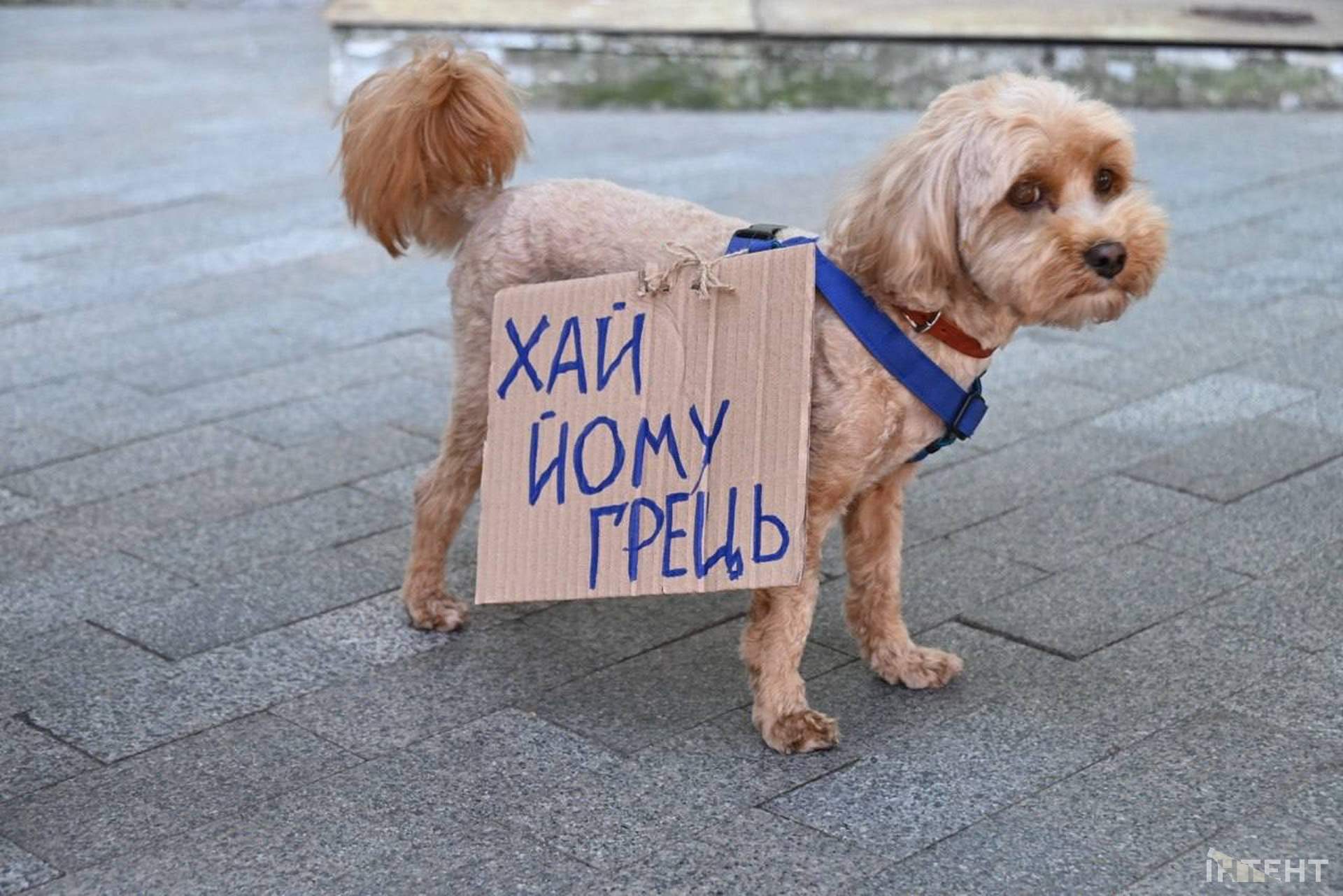 Одесити долучилися до всеукраїнської хвилі протестів на підтримку звільненого міністра оборони