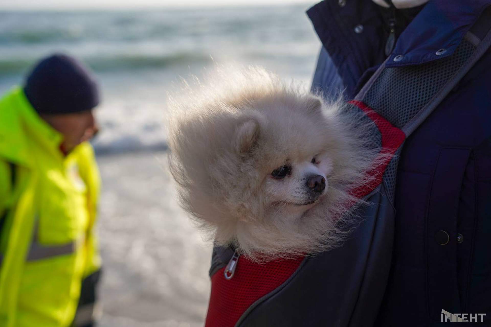 Вдвічі більше місць ніж торік: в Одесі відсвяткували Водохреще