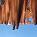 Перед будівлею Одеської мерії тимчасово встановили велетенські окуляри