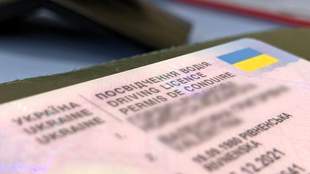 Руководителя автошколы из Херсона осудили за схемы с фиктивными удостоверениями