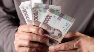 Village head in Kherson region receives suspended sentence for embezzlement