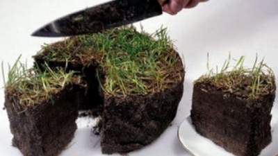 Председателя сельсовета обвиняют в махинациях с землей на 500 тысяч гривень 