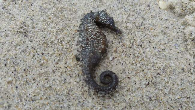 ФОТО: sw.dei.gov.ua