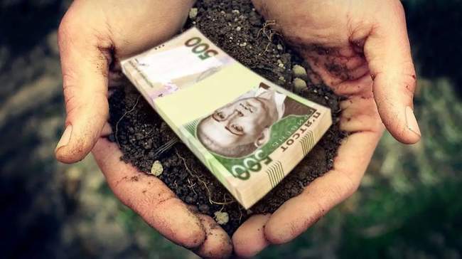 ФОТО: agroportal.ua