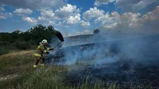 Fields with 140 hectares of wheat burned in Mykolaiv region