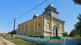 Бджоли в шахті й граніт у вапняку: несподівані знахідки степового Вормса