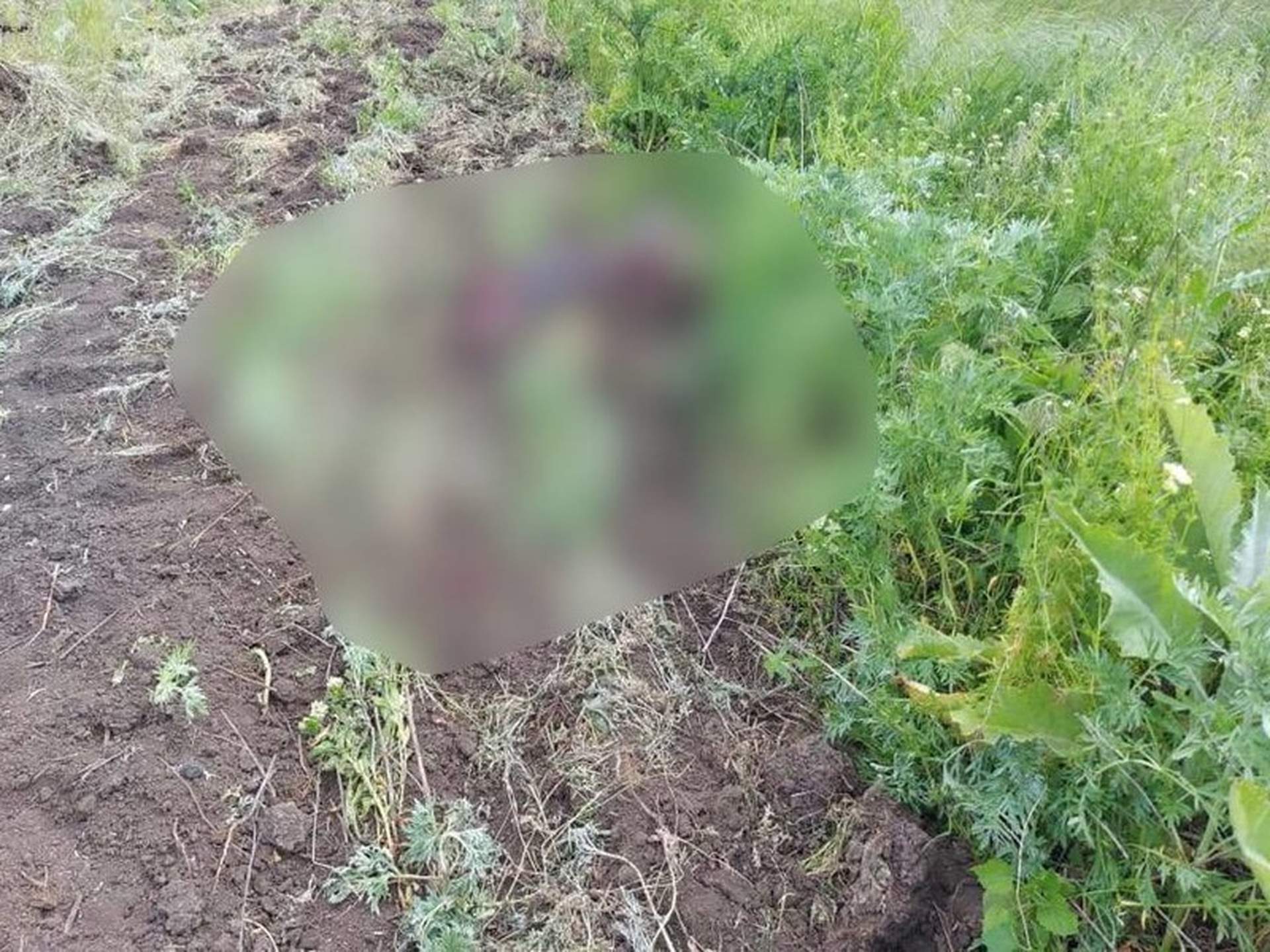 На Херсонщині пʼятеро людей загинули від російського снаряду
