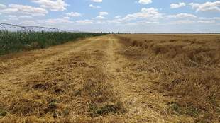 Оборудки із землею на Миколаївщині: ДБР знайшло винних