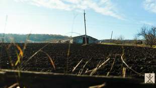 Ветеран из Донецкой области исследовал корни своей семьи в Одесской области