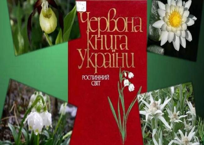 Окупаційна влада Криму планує переписати "Червону книгу" до кінця року